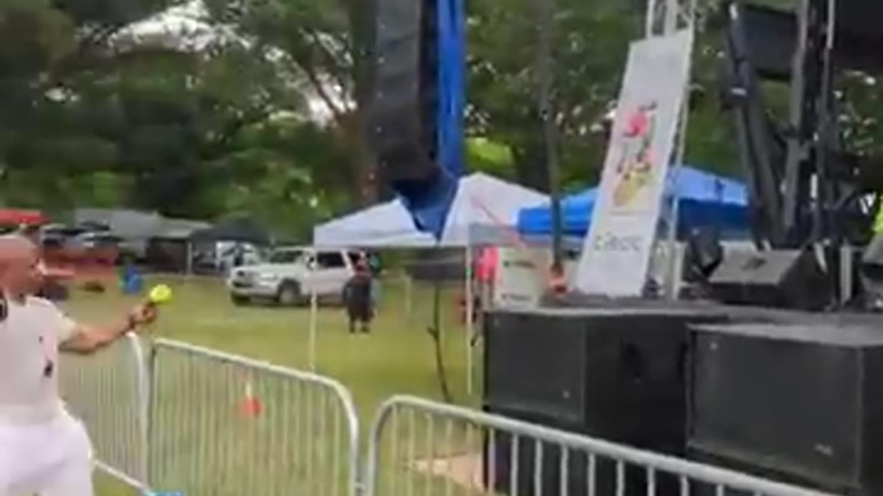 roselle house music Festival