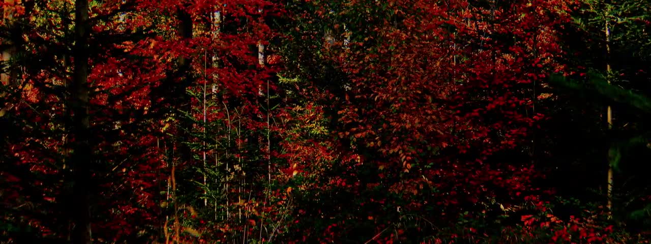 Dreamlike Croatian Landscapes (Hrvatsko Zagorje) Trailer by © Branko Kurtanjek