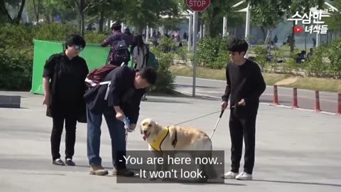 Most Funny Videos