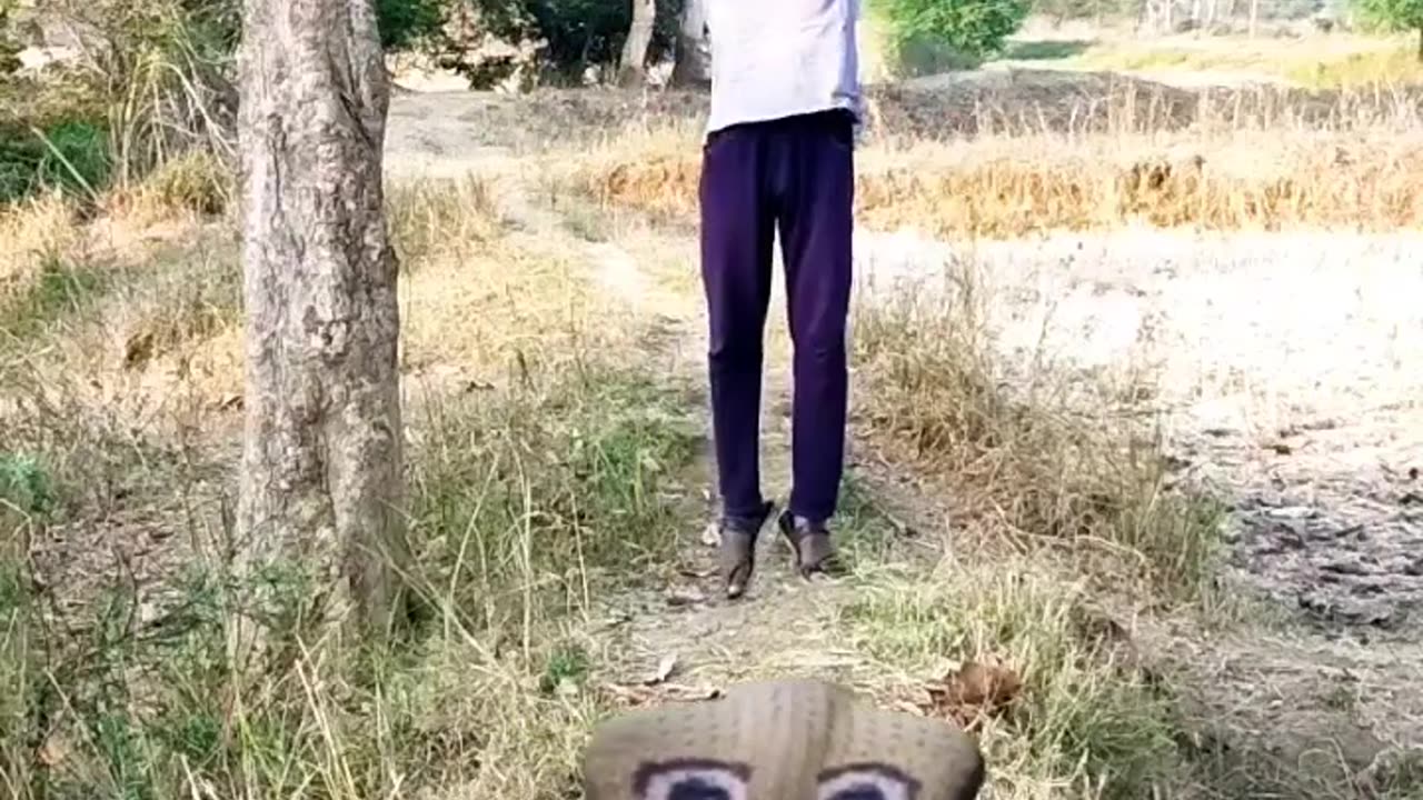 big snake vs man & Hulk vfx funny video😂😂 ll #shorts #shortsvideo #youtubeshorts #funny #trending