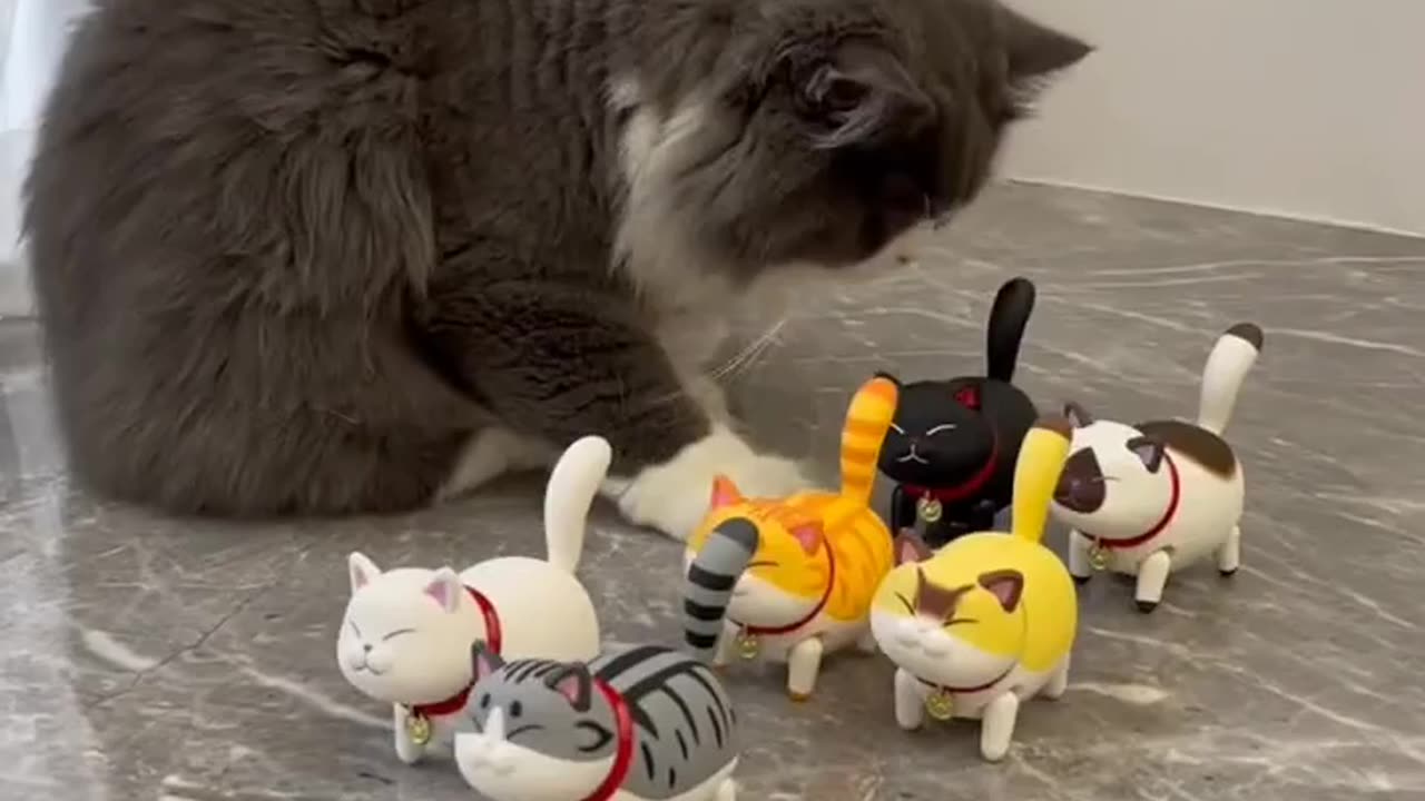 Cat lovers