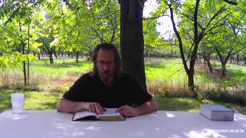 The Revelation 2021 p2