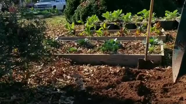 Double Digging Part 4