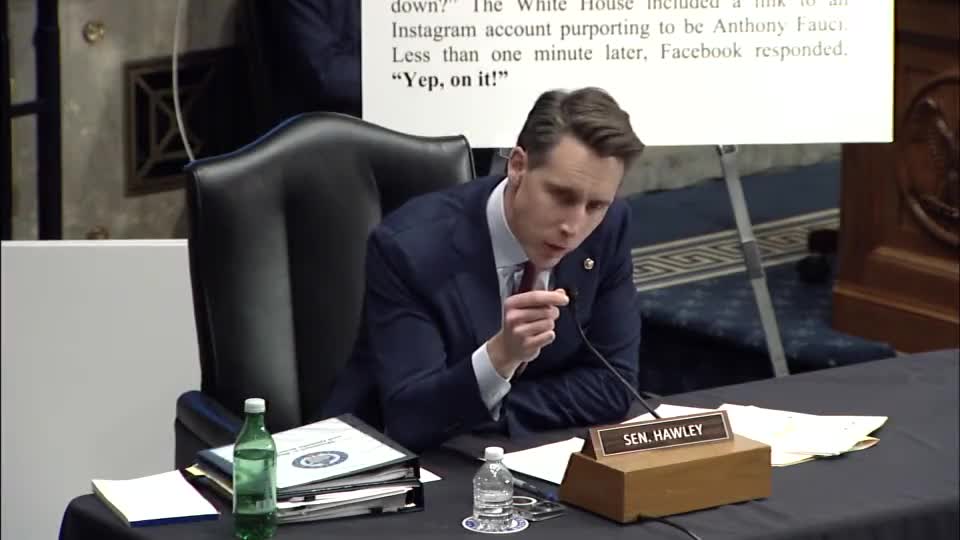 Sen Hawley GRILLS Sec Mayorkas For Pressuring Big Tech To Treat Americans As Domestic Terrorists