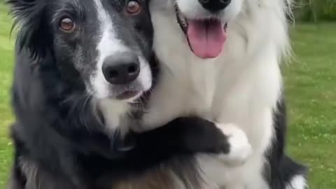 A lovely couple❤️