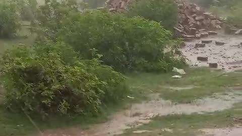 Thunderstorms Rain