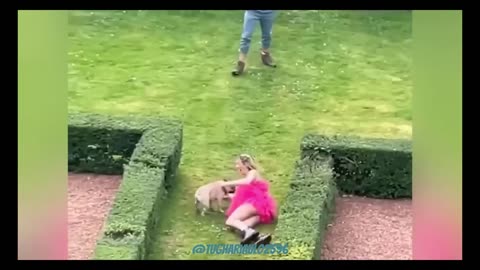 Instant Regret ｜ Funny Moments ｜ Fails Of Compilation 2023