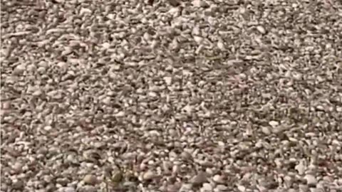 Momen pesawat melakukan pendaratan darurat di pantai Long Island