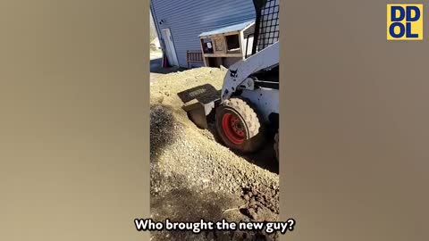 TRY NOT TO LAUGH WATCHING FUNNY FAILS VIDEOS 2022