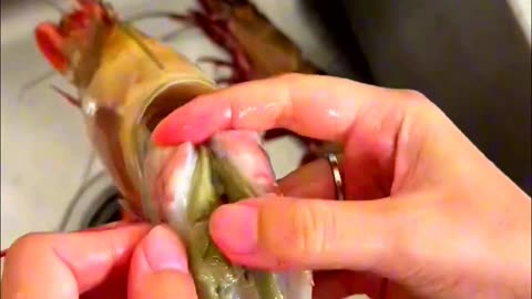 The Irresistible Charm of Shrimp Unfolds! #shorts