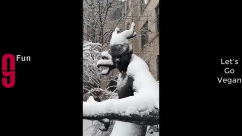 funny video moment