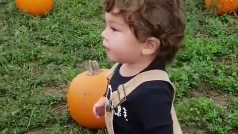 Cute Baby Getting So Much Excited Seeing So Many Pumpkin 😍🥰