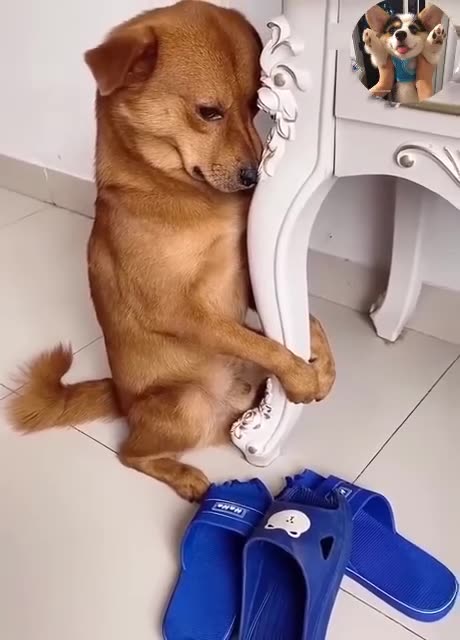 I'm sorry, next time I won't dare to do that again! ☹