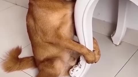 I'm sorry, next time I won't dare to do that again! ☹