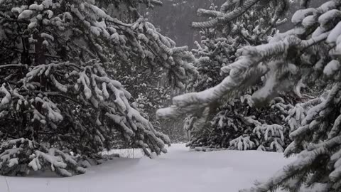Instrumental Christmas Songs - 1 Hour