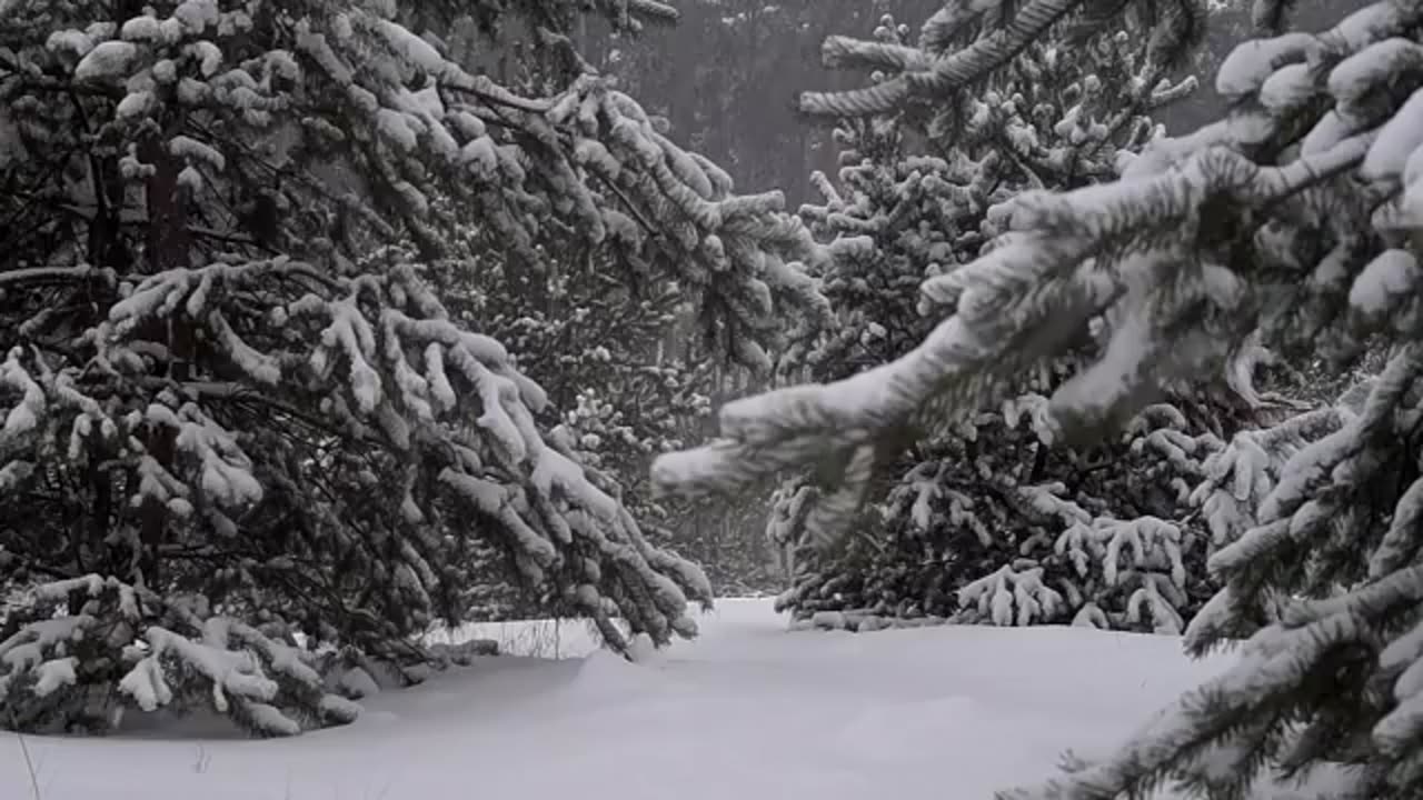 Instrumental Christmas Songs - 1 Hour