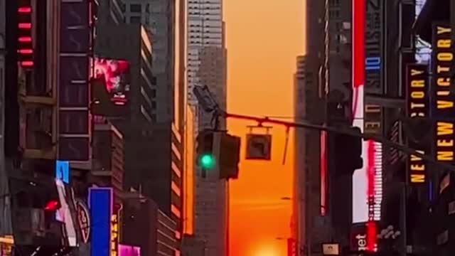 where & when to seeManhattanhedge