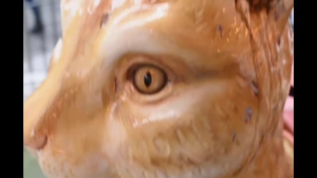 Video of a Carousel Cat#cat990 #cat #shorts