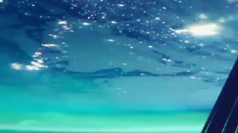 Northern lights scene from the international space station Nasa