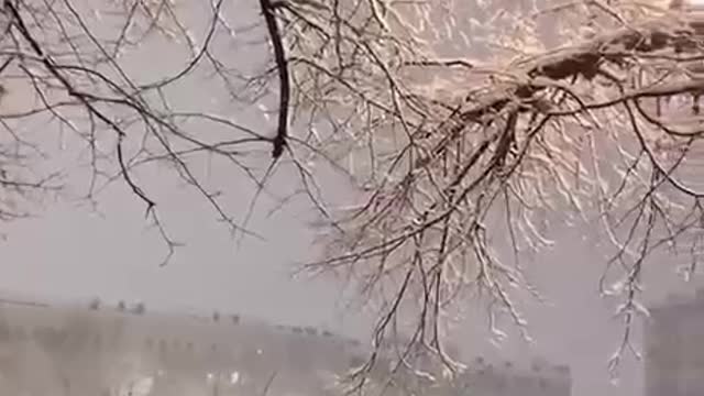 Snow in Moscow ❄️ Everything is white!