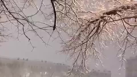 Snow in Moscow ❄️ Everything is white!