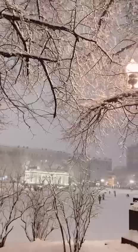 Snow in Moscow ❄️ Everything is white!