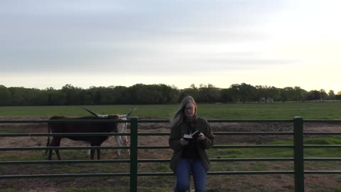 Good Friday Morning Prayer