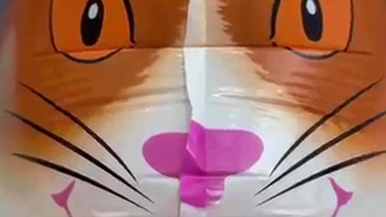 Funny cat short videos