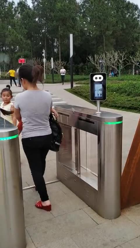 In China's surveiled 15 minute cities,