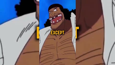 Who is the DUMBEST person of StrawHats (NOT LUFFY!) One Piece Anime