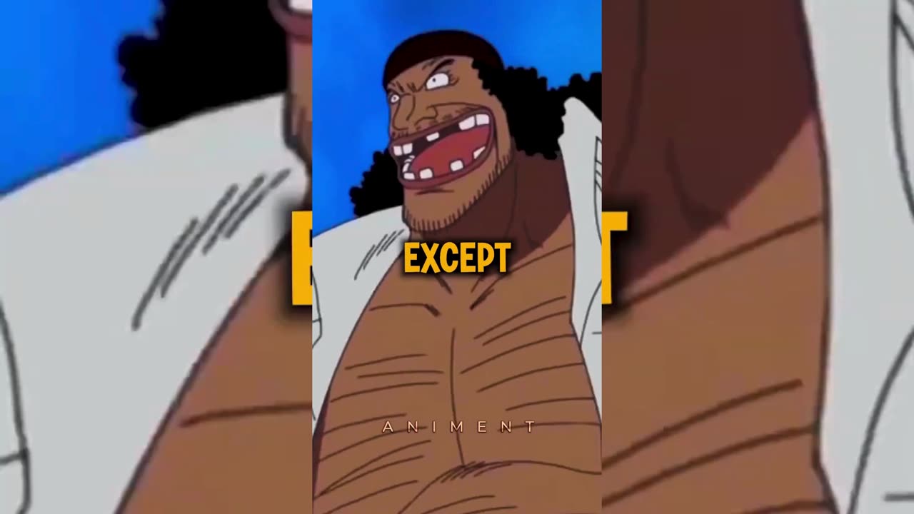 Who is the DUMBEST person of StrawHats (NOT LUFFY!) One Piece Anime