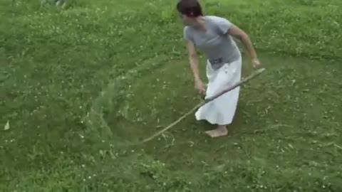 Scything lawn-length grass
