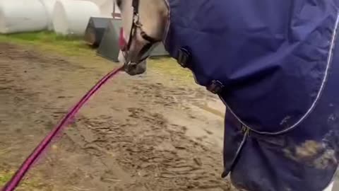 That’s way to familiar