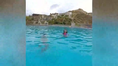 Cute dolphin moment and cute baby girl
