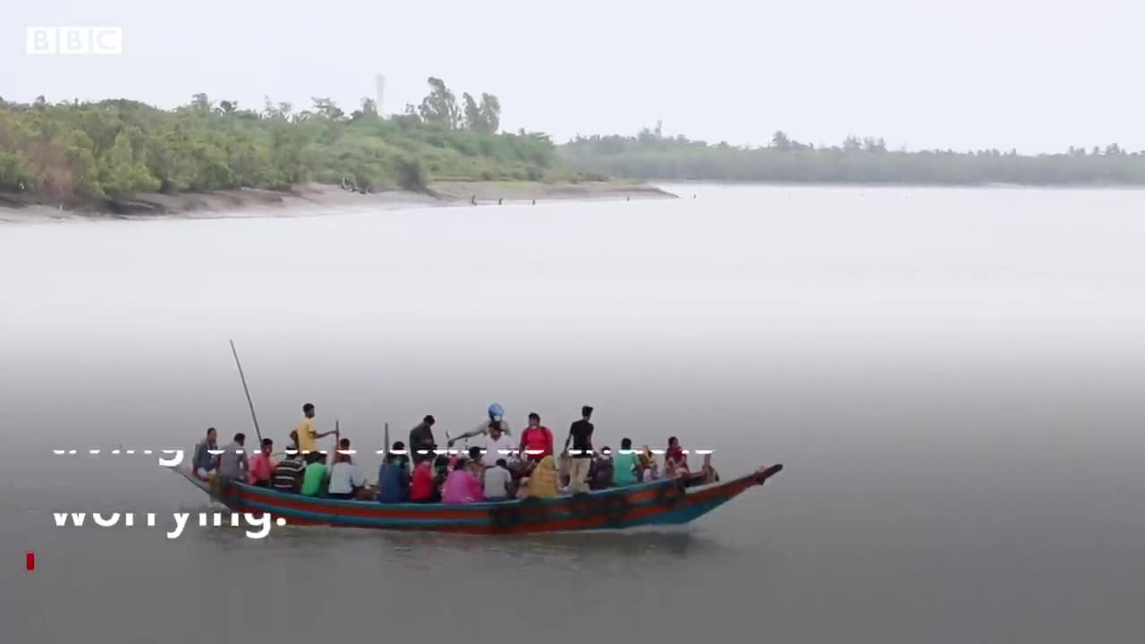 Why the world’s largest mangrove forest is sinking - BBC News