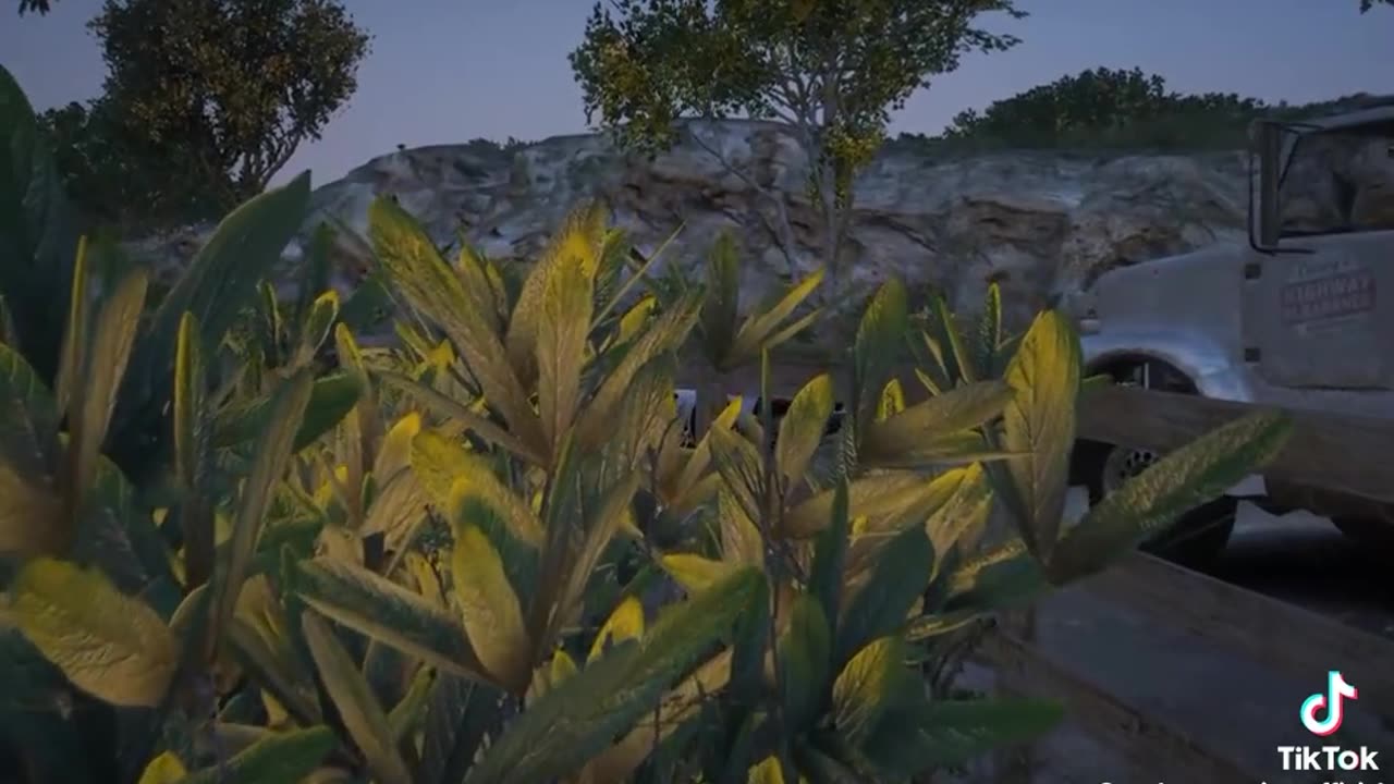 GTA V