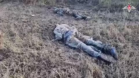 Massacre on the Kursk Front: Ukrainian Infantry Cemetery