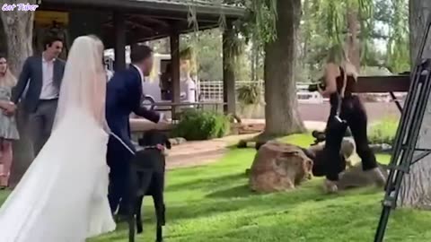 Best fails videos 2023