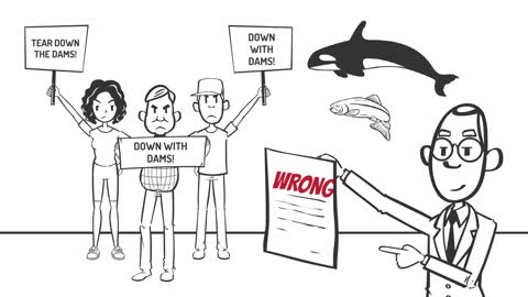 Save the Puget Sound Orca (and salmon) - KEEP the lower Snake River dams