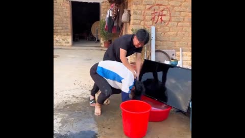 Funny video reel