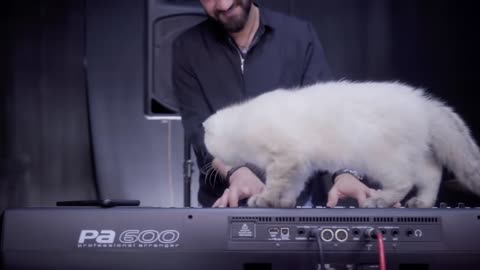 https://youtu.be/5vppJrWii4k