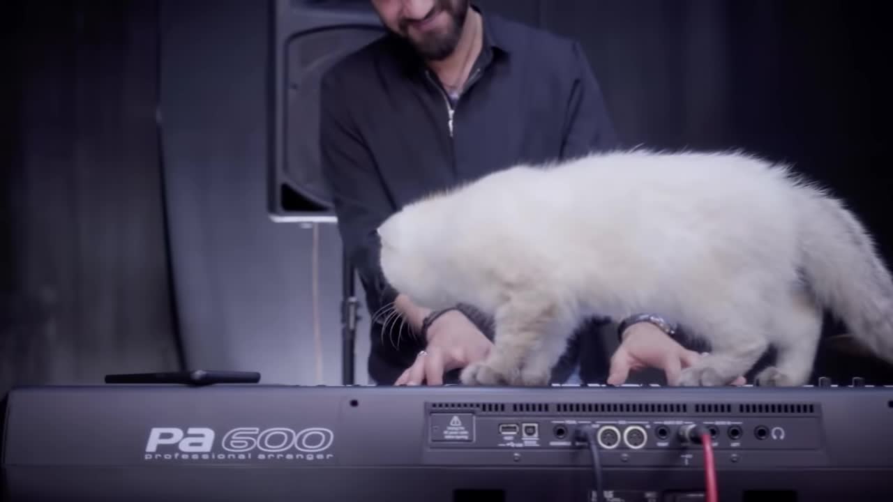 https://youtu.be/5vppJrWii4k