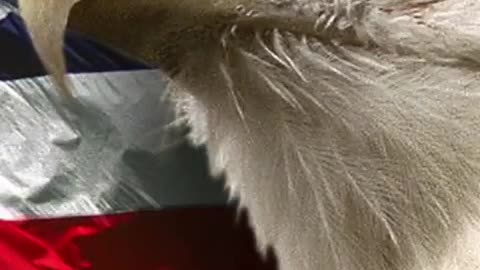 ULTRA MAGA PARTY 👑 - Natalie Winters: "A coup in the military has already happened!"
