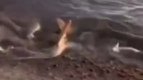 Something is goin on with the water