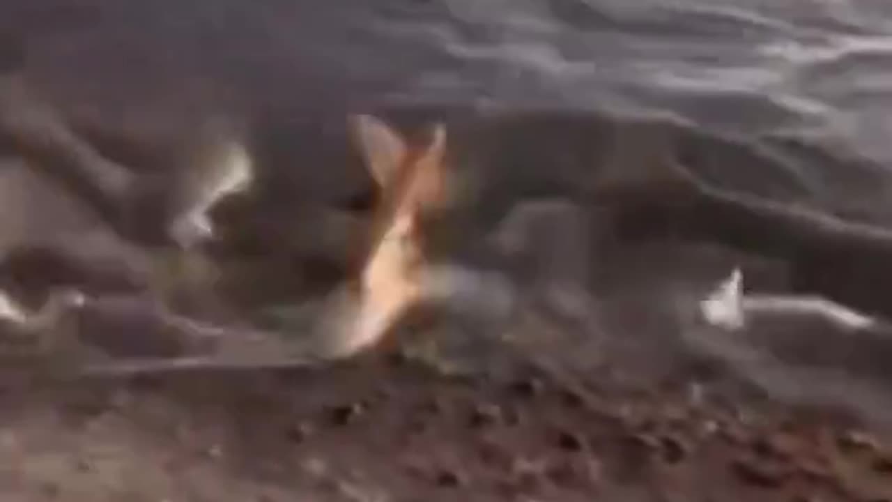 Something is goin on with the water