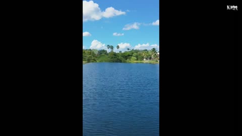 Relaxing Music | Sleeping, Meditation, Stress Relief | [6143] ⭐️