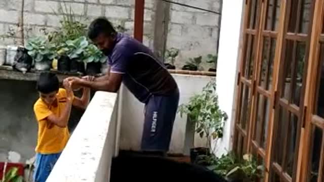 Bruno-Brother, don't bother my dad (අයියේ, මගේ අප්පච්චිට කරදර කරන්න එපා )#dog #bruno #short #shorts