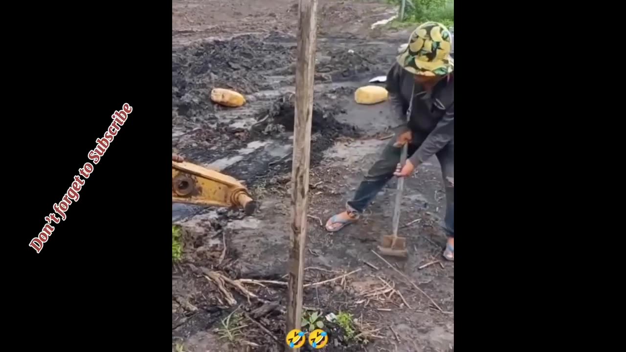 Best funny videos