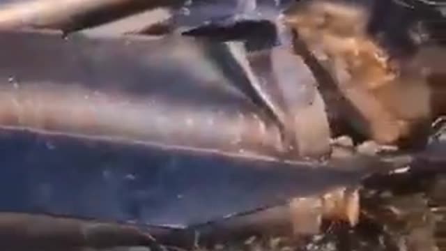 As a result of the Russian attack on Ukraine