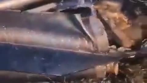 As a result of the Russian attack on Ukraine